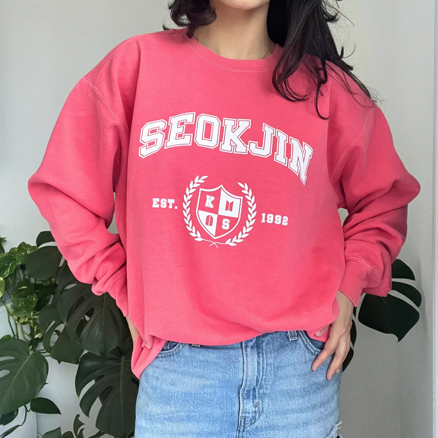 seokjin university sweatshirt